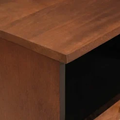 vidaXL TV-kast met lade Bruin 70 x 33,5 x 46 cm Massief Mango Hout