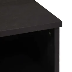 vidaXL TV-kast met lade Zwart 100 x 33 x 46 cm Massief Mango Hout