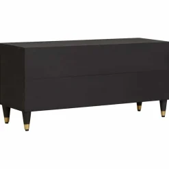 vidaXL TV-kast met lade Zwart 100 x 33 x 46 cm Massief Mango Hout