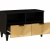 vidaXL TV-kast Zwart en Goud 70 x 33 x 46 cm Bewerkt hout