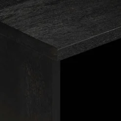vidaXL Tv-meubel 70x33x46 cm bewerkt hout zwart