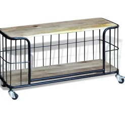 vidaXL Tv-meubel100x40x45 cm massief mangohout