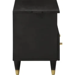 vidaXL Tv-meubel 70x33x46 cm massief mangohout