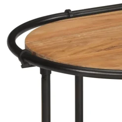 vidaXL Tv-meubel 100x42x40 cm massief acaciahout