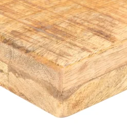 vidaXL Tv-meubel 160x40x40 cm massief ruw mangohout