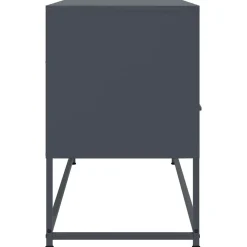 vidaXL Tv-meubel 100,5x39x60,5 cm staal antracietkleurig