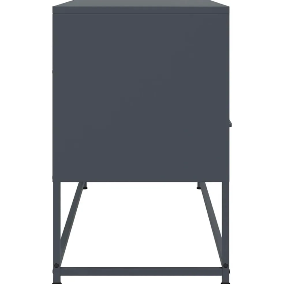 vidaXL Tv-meubel 100,5x39x60,5 cm staal antracietkleurig