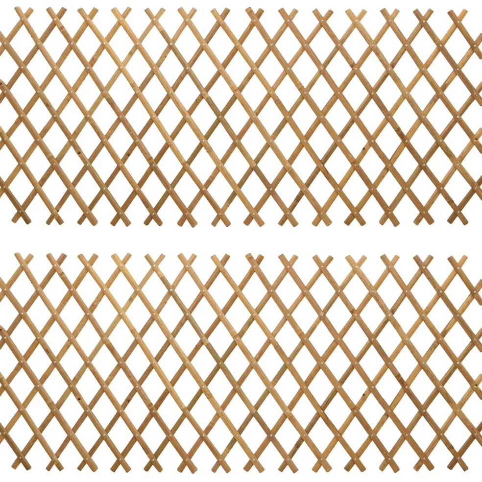 vidaXL Uitvouwbare Trellis Fence 2 st 100 x 105 cm Bamboe Licht Bruin