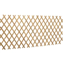vidaXL Uitvouwbare Trellis Fence 2 st 100 x 105 cm Bamboe Licht Bruin