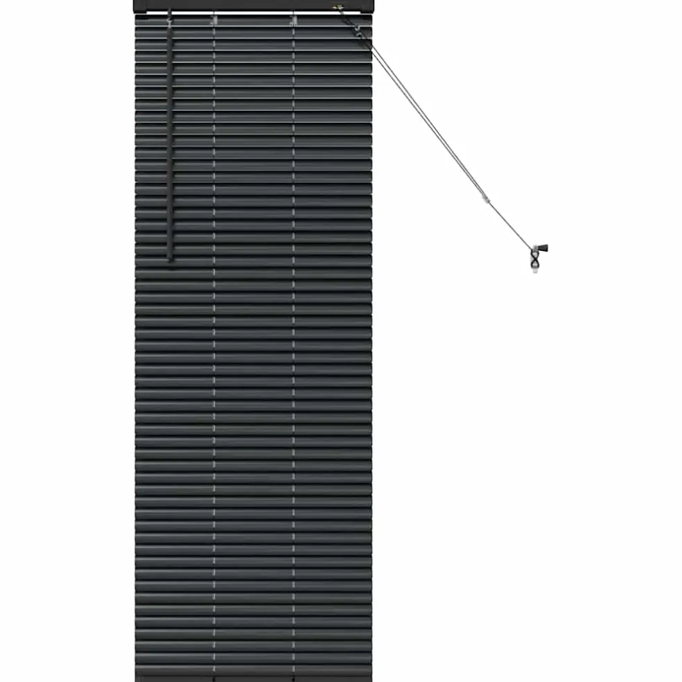 vidaXL Venetiaanse jaloezie Zwart 130 x 45 cm 25 mm Aluminium