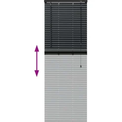 vidaXL Venetiaanse jaloezie Zwart 130 x 45 cm 25 mm Aluminium