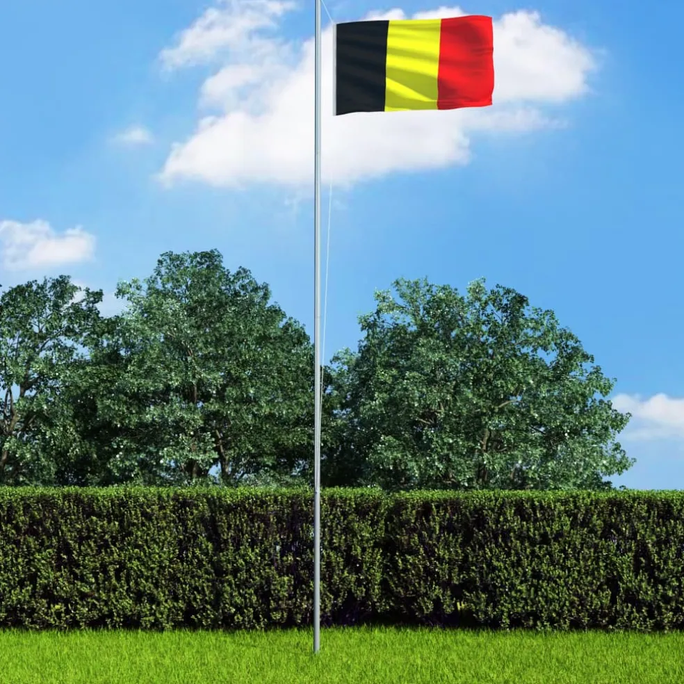 vidaXL Vlag België 90x150 cm