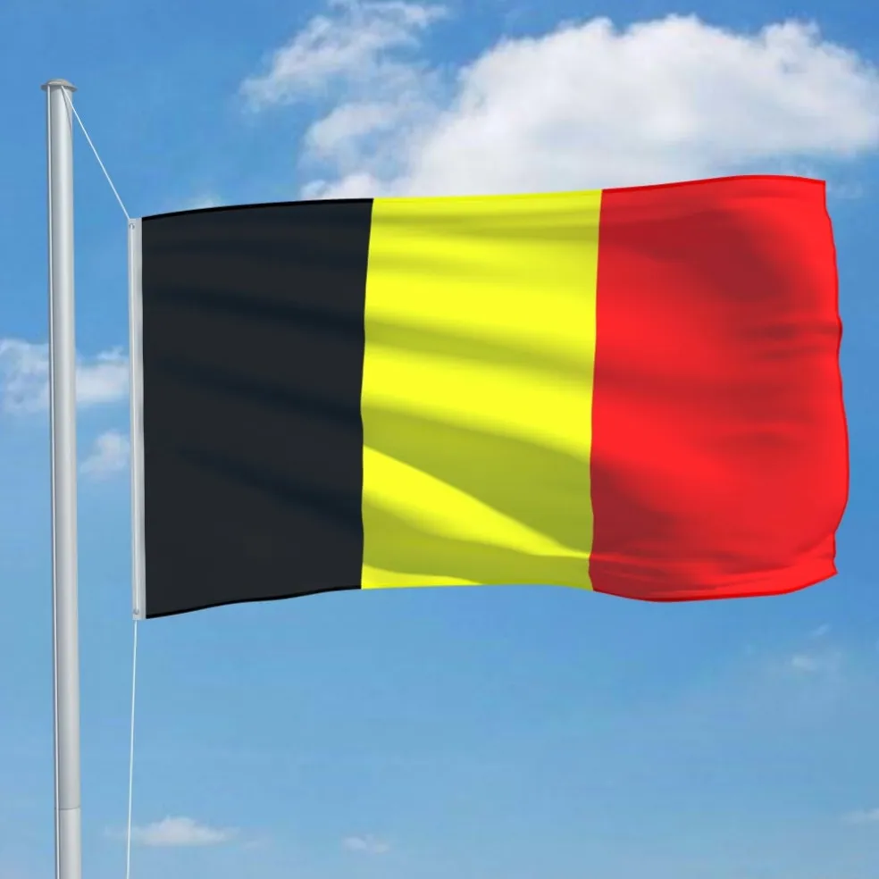 vidaXL Vlag België 90x150 cm