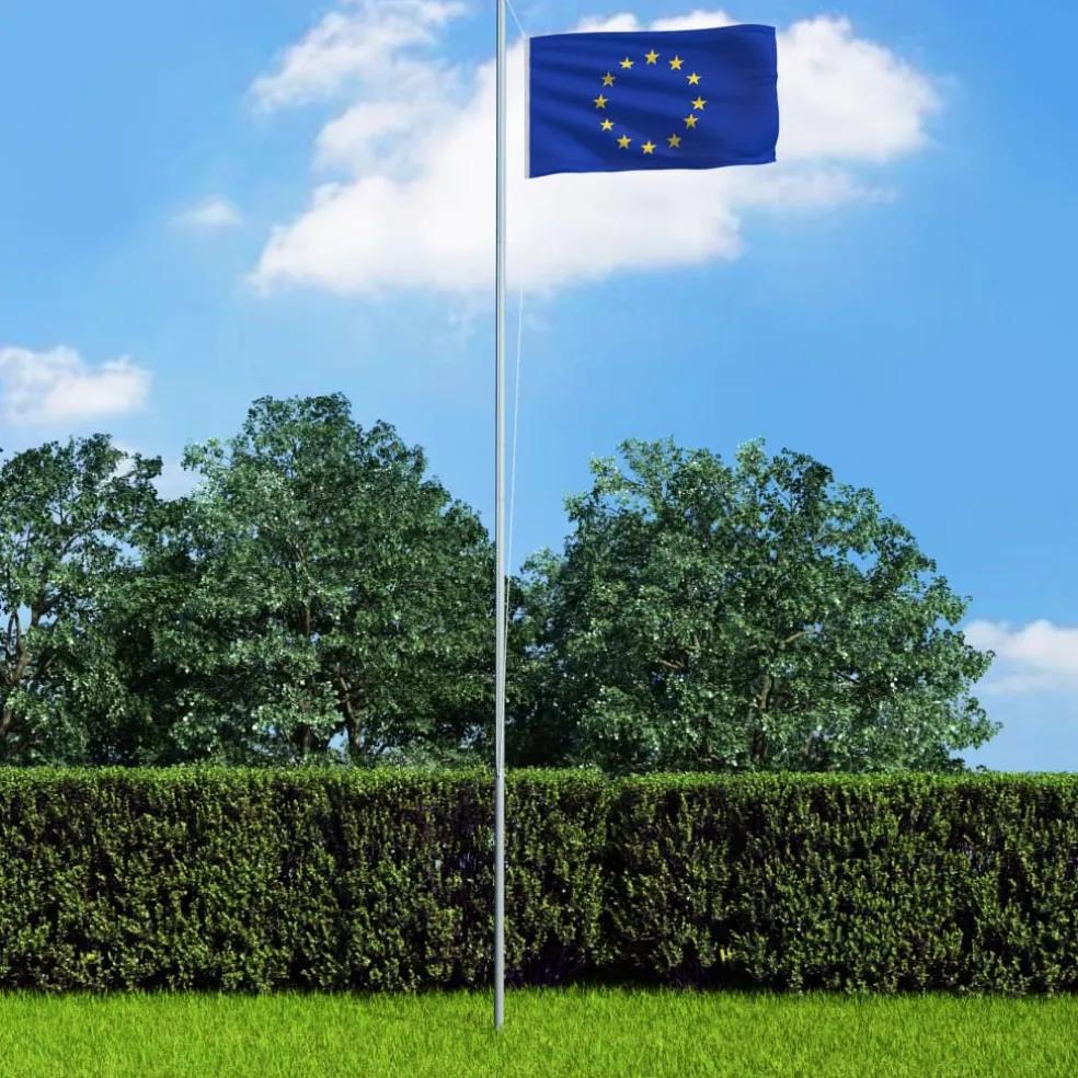 vidaXL Vlag Europa 90x150 cm