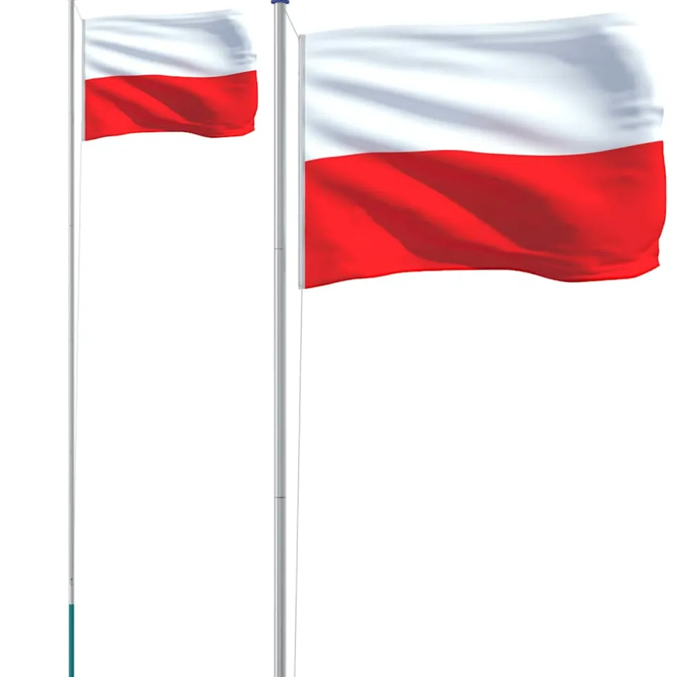 vidaXL Vlag met vlaggenmast Polen 6,08 m aluminium