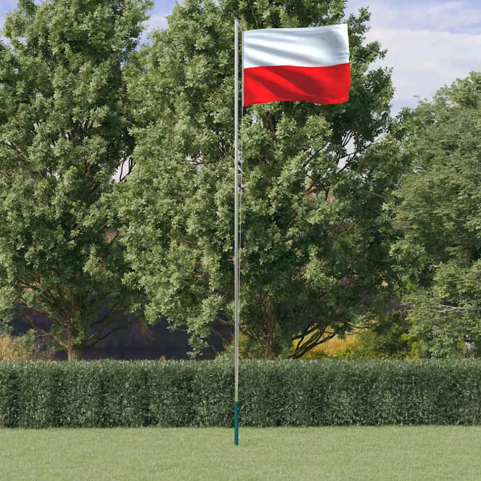 vidaXL Vlag met vlaggenmast Polen 6,08 m aluminium