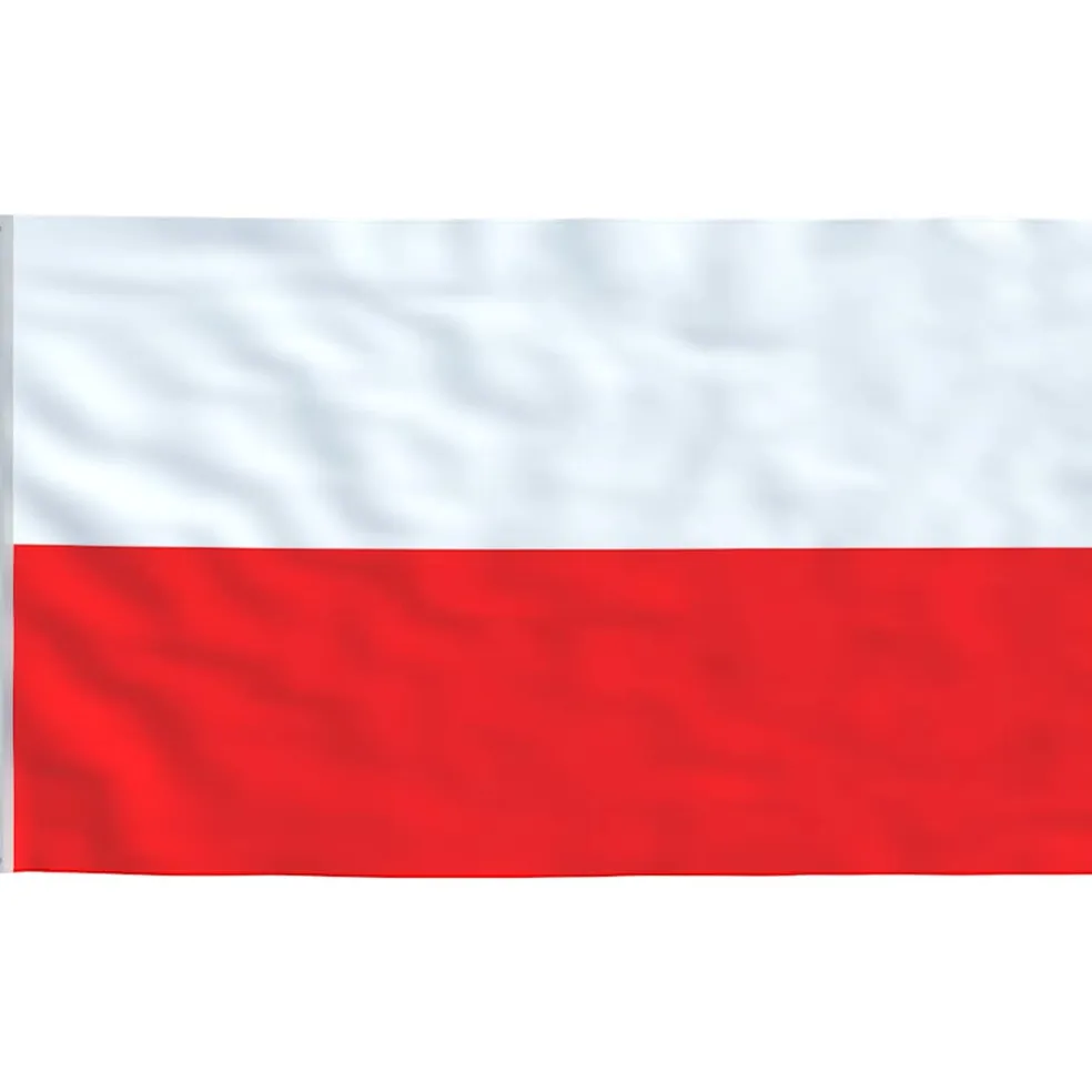 vidaXL Vlag met vlaggenmast Polen 6,08 m aluminium