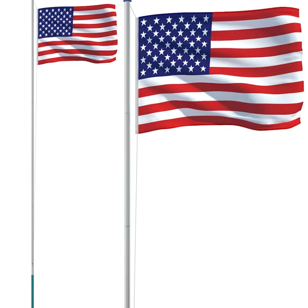 vidaXL Vlag met vlaggenmast Verenigde Staten 6,08 m aluminium