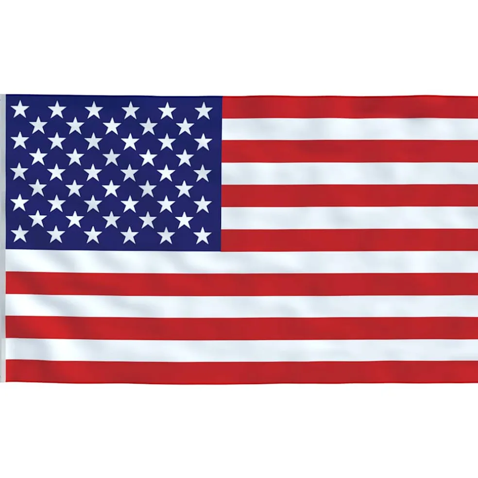 vidaXL Vlag Verenigde Staten 90x150 cm