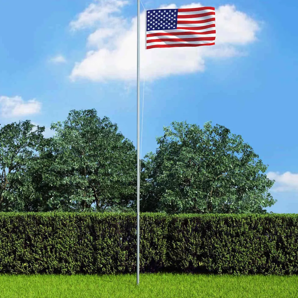 vidaXL Vlag Verenigde Staten 90x150 cm