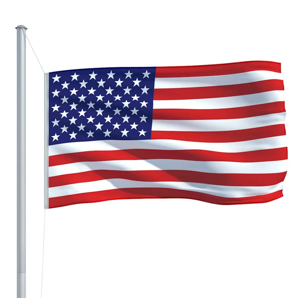 vidaXL Vlag Verenigde Staten 90x150 cm
