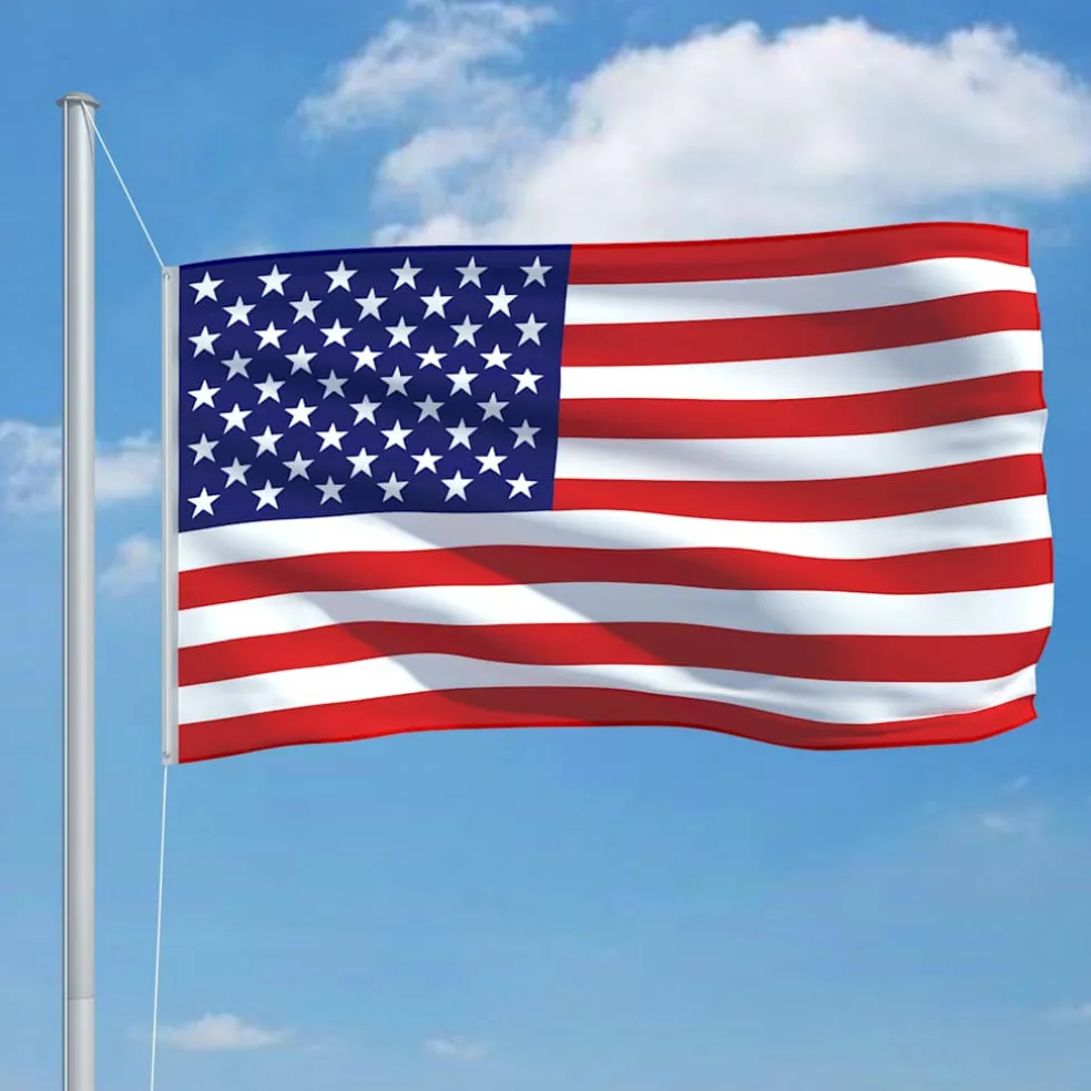 vidaXL Vlag Verenigde Staten 90x150 cm