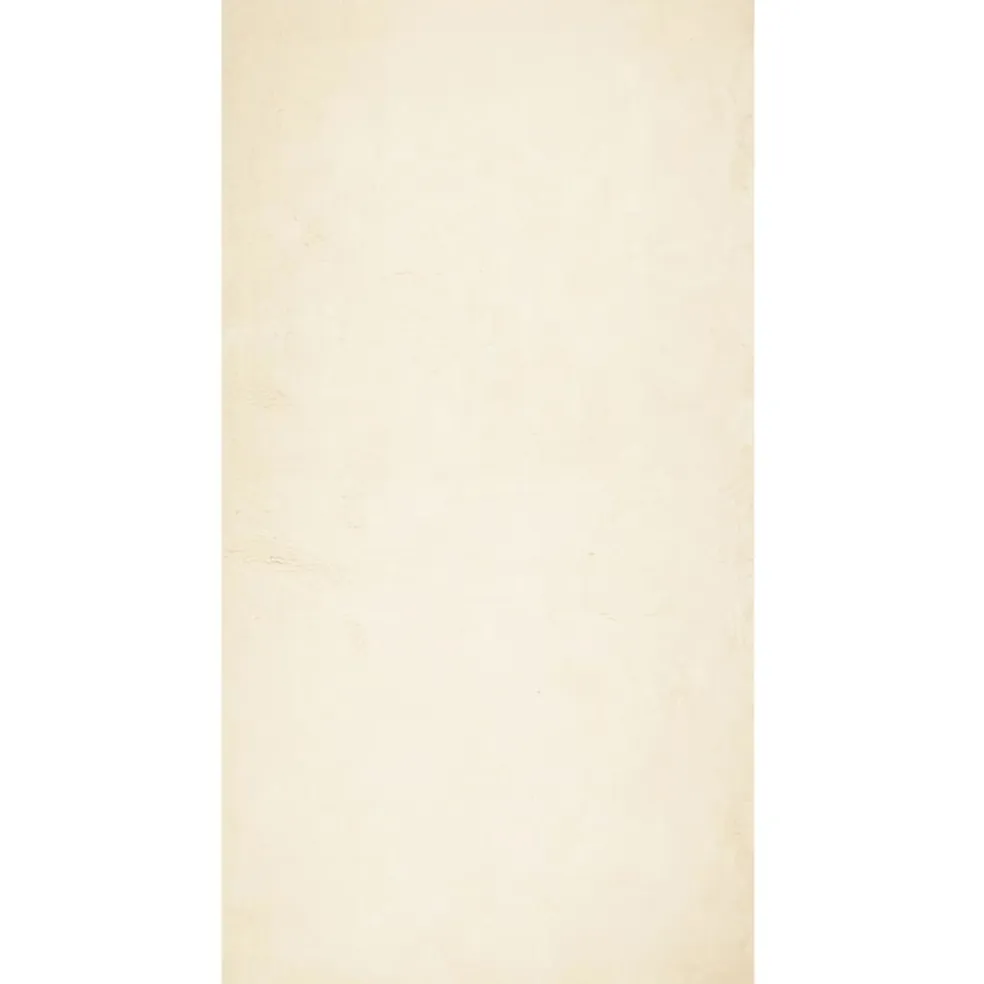 vidaXL Vloerkleed HUARTE laagpolig zacht wasbaar 60x110 cm crème