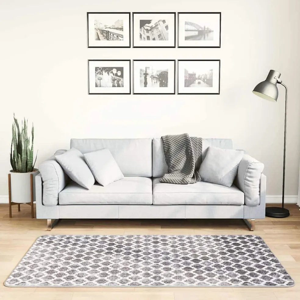 vidaXL Vloerkleed wasbaar anti-slip 80x150 cm meerkleurig