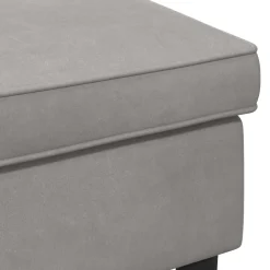 vidaXL Voetenbank Lichtgrijs 55 x 35 x 41 cm Fluweel