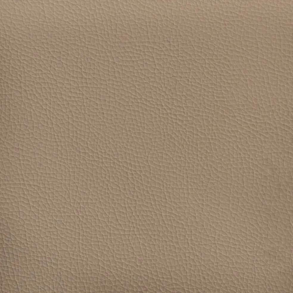 vidaXL Voetenbank 60x50x41 cm kunstleer cappuccino