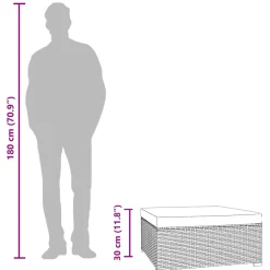 vidaXL Voetensteun met kussen 70x70x30 cm poly rattan zwart