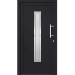 vidaXL Voordeur 98x200 cm antraciet