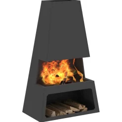 vidaXL Vuurkom Zwart 60 x 35 x 100 cm weervast staal
