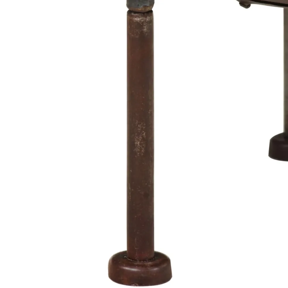 vidaXL Vuurplaats Ø40 cm ijzer