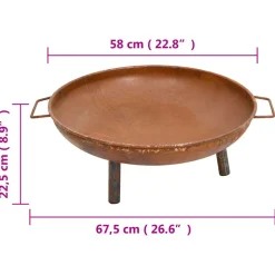 vidaXL Vuurplaats 67,5x58x22,5 cm staal