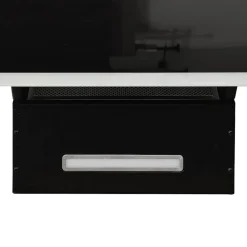vidaXL Wandafzuigkap 60 cm staal en gehard glas zwart