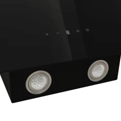 vidaXL Wandafzuigkap 60 cm staal en gehard glas zwart