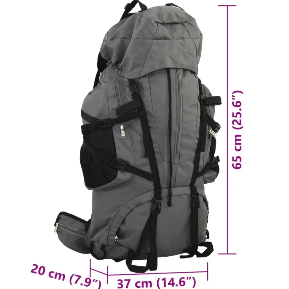 vidaXL Wandelrugzak 60 L oxford stof grijs