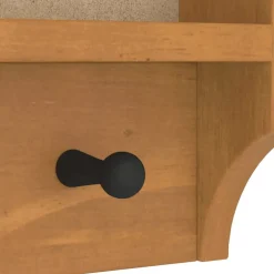 vidaXL Wandkapstok SANDNES 45x12x35 cm massief grenenhout