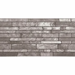 vidaXL Wandpanelen 10 st 100 x 50 cm Donkergrijs EPS-schuim