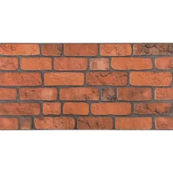 vidaXL Wandpanelen 10 st 100 x 50 cm Terracotta EPS-schuim