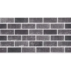 vidaXL Wandpanelen 10 st 100 x 50 cm Zwart en Grijs EPS-schuim