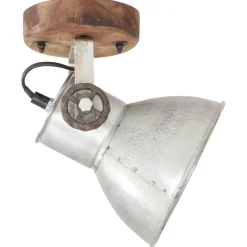 vidaXL Wand-/plafondlampen industrieel 2 st E27 20x25 cm zilverkleurig