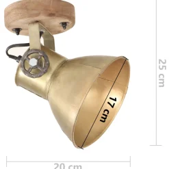 vidaXL Wand- / plafondlampen industrieel 2 st gerecycled E27 17x24 cm