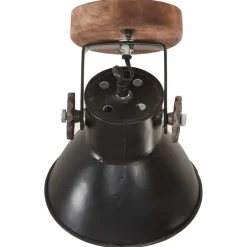 vidaXL Wand-/plafondlampen industrieel 2 st E27 20x25 cm zwart