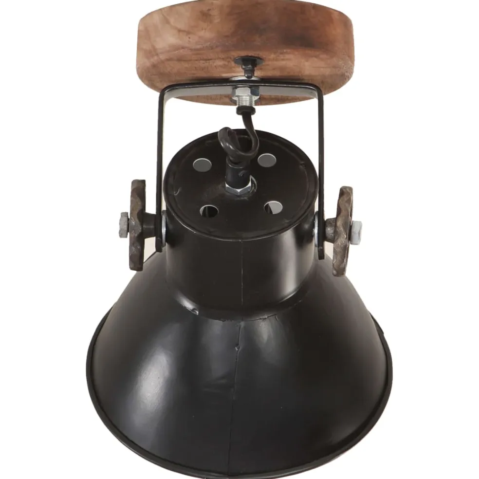 vidaXL Wand-/plafondlampen industrieel 2 st E27 20x25 cm zwart