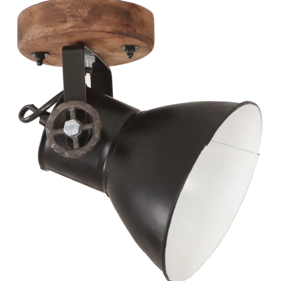 vidaXL Wand-/plafondlampen industrieel 2 st E27 20x25 cm zwart