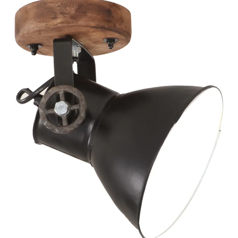 vidaXL Wand-/plafondlampen industrieel 2 st E27 20x25 cm zwart