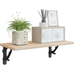 vidaXL Wandplankbeugels 2 st Zwart 10 x 10 x 3 cm Staal