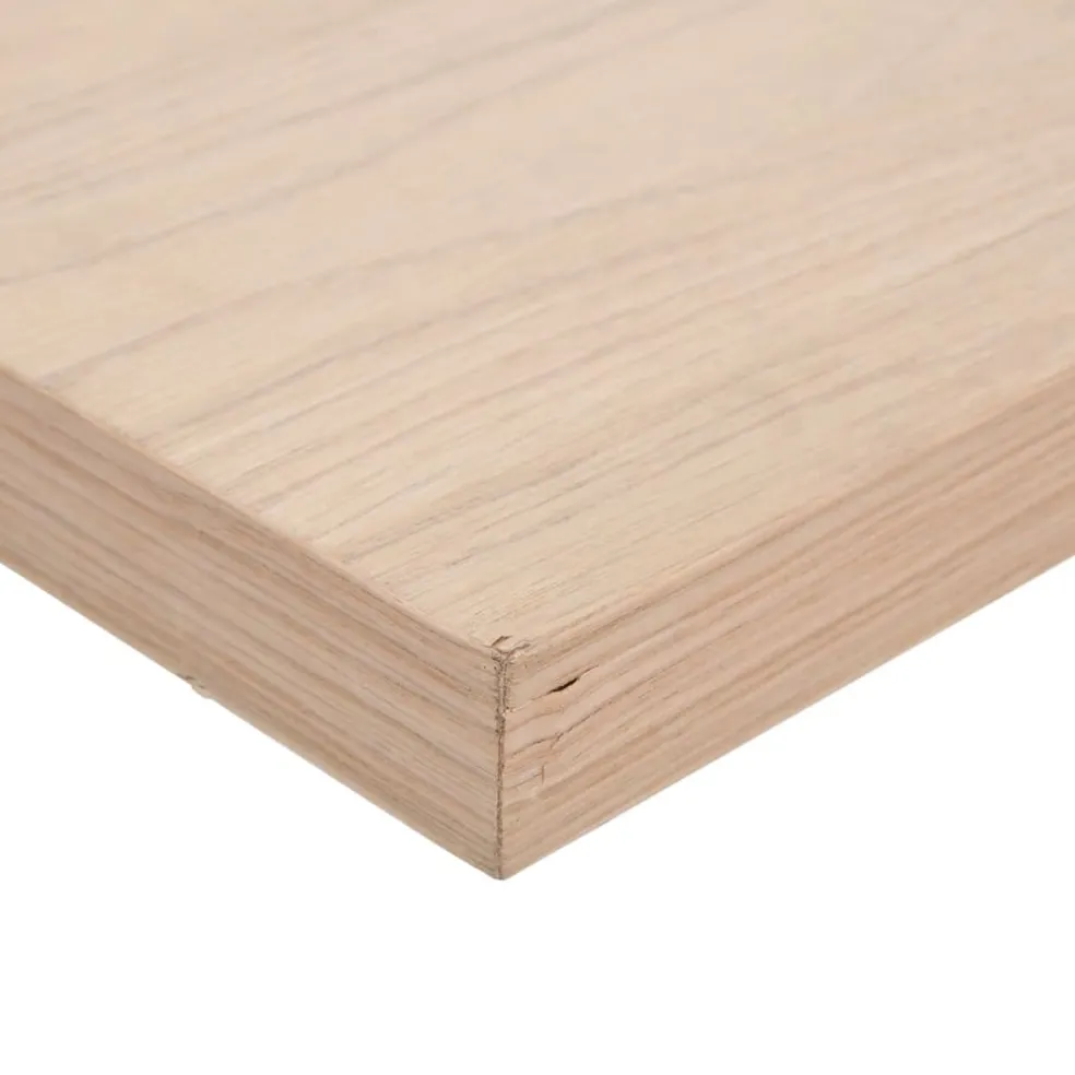 vidaXL Wandschap 23x23,5x4 cm bewerkt hout